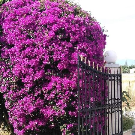 Hellens Village Paralía Almirú Kültér fotó