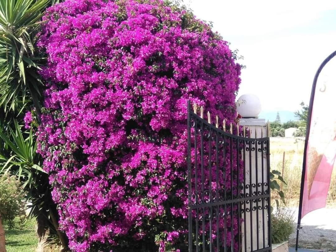Hellens Village Paralía Almirú Kültér fotó